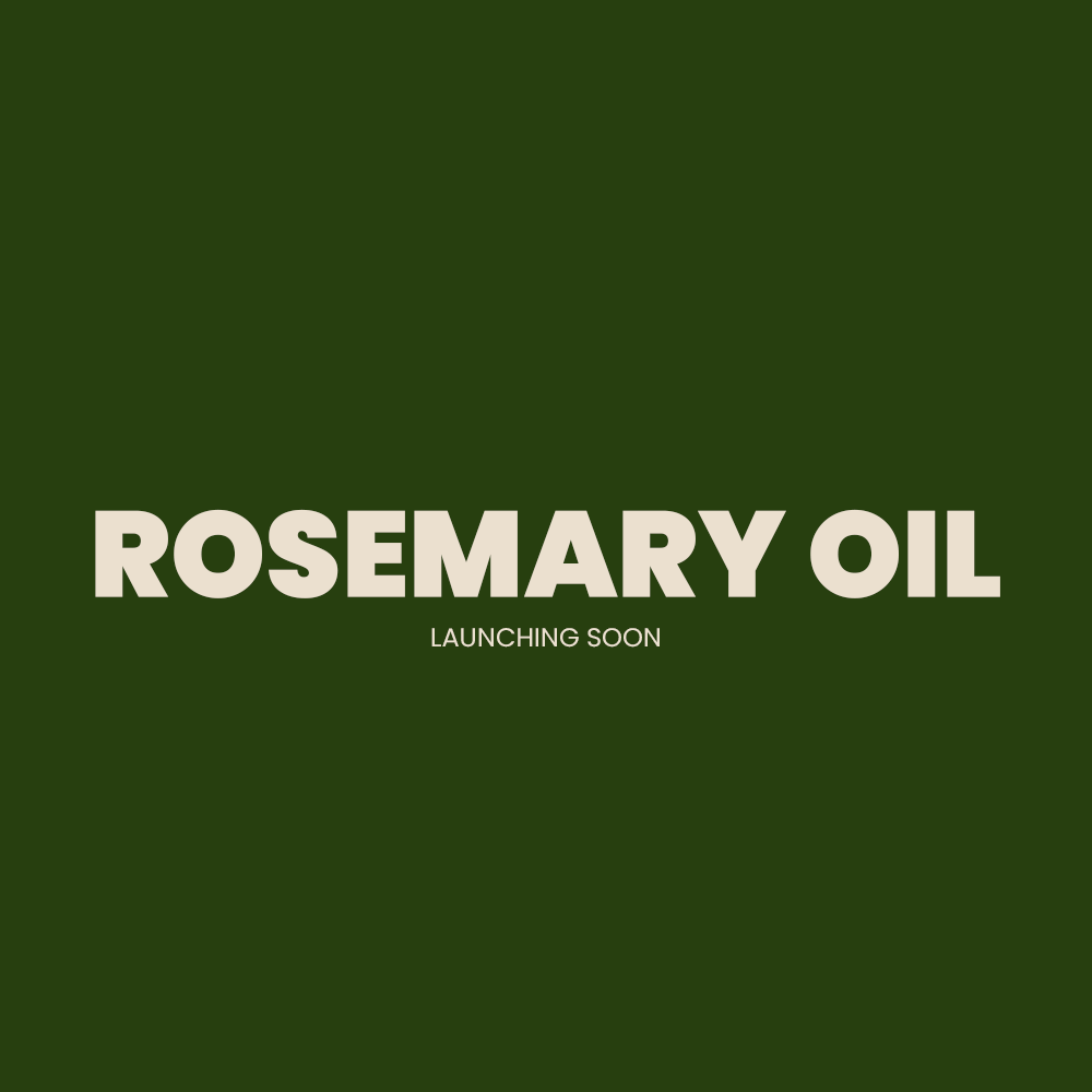 Rosemary Oil Image